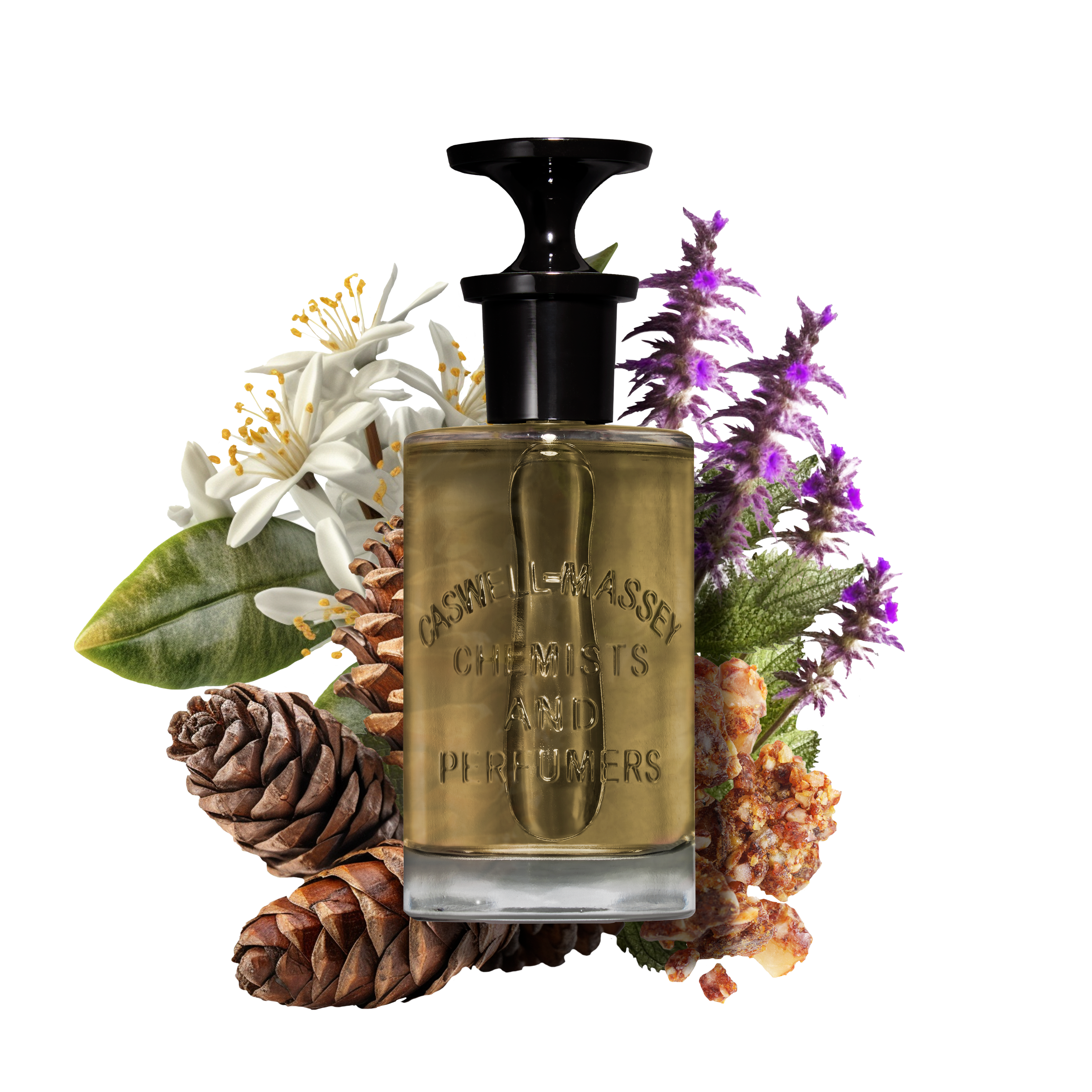 OAIRE Eau de Parfum Fragrance Caswell-Massey®